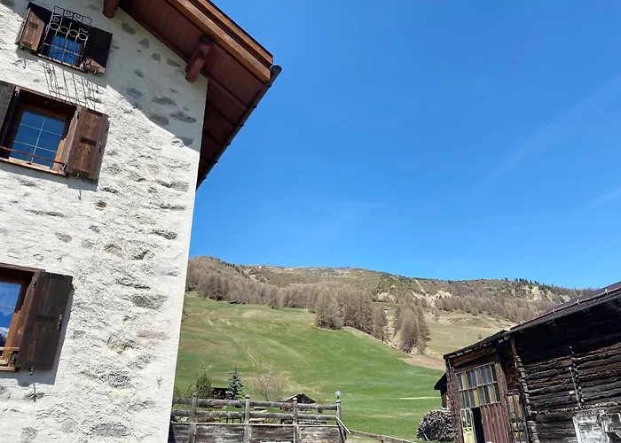 Hotel adatto agli animali: Mountain Chalet Milly